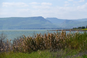The Winds at the Sea of Galilee