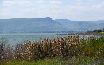 Los vientos del lago de Galilea