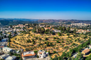 Notre Dame, Ark of the Covenant, Abu Gosh