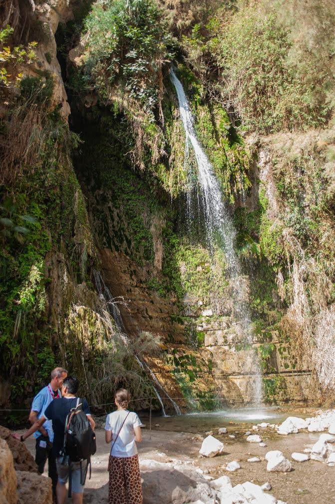 Right: The Nahal David waterfall above de Ein Gedi, during springtime. Photo: Jorge Barroso, 2023.