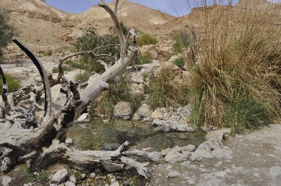 Right: Resurgence of the spring at Ein Arugot. Photo: Henri Gourinard, 2015.