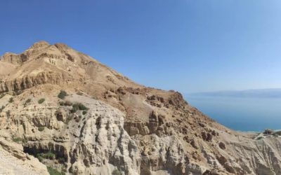 Ein Gedi: La Fuente de la Cabra