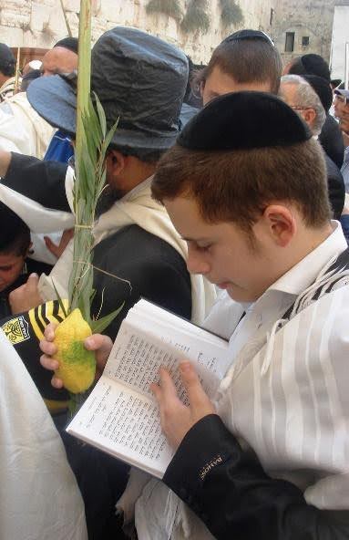 Young Jewish man praying at the Western Wall with the Four Species.